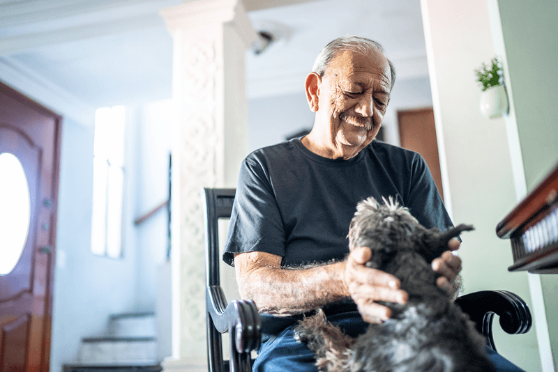 Senior man playing with dog at home - stock photo
Senior man playing with dog at home