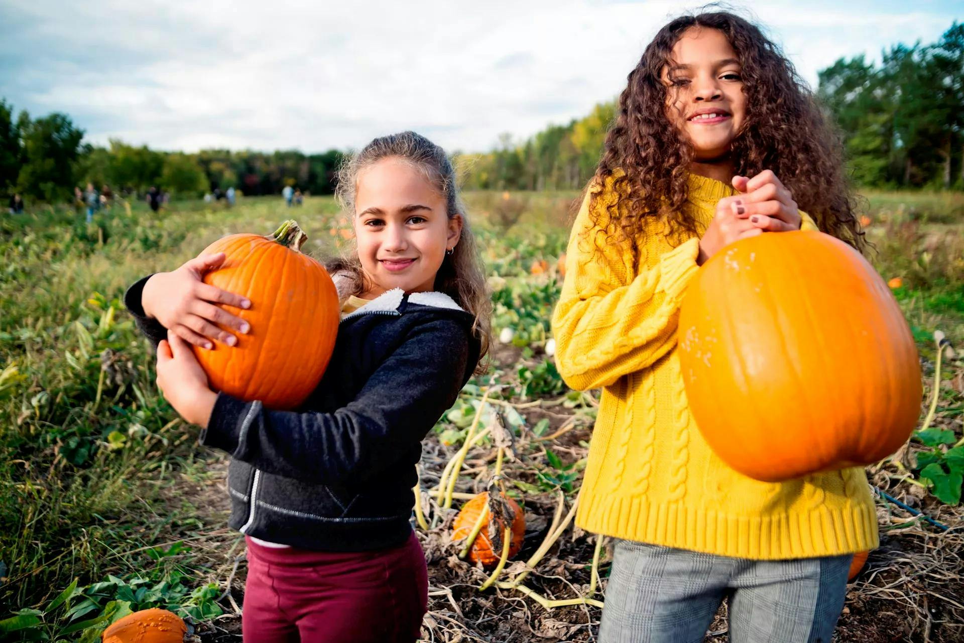 Celebrate fall with nutritious fruits and veggies