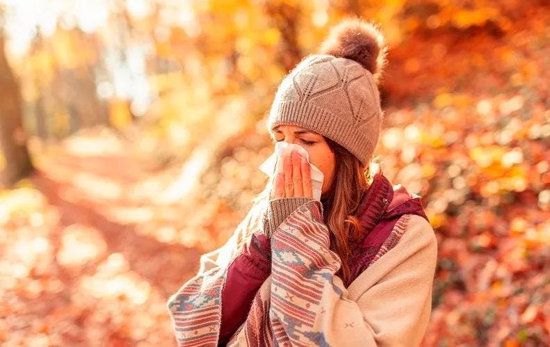 Get ready for fall and the allergies that go with it