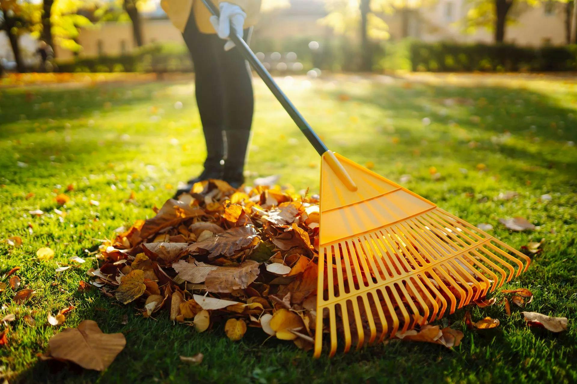 Autumn safety tips for outdoor chores